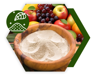 Food Extract Powder : สารสกัดผงสำหรับอาหาร