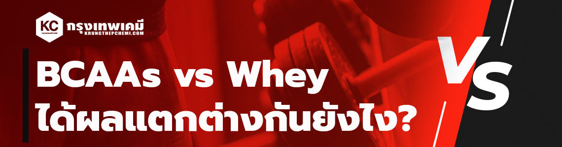BCAAs vs Whey, what's the difference?