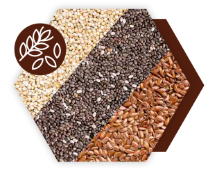 Cerial Grain : เมล็ดธัญพืช